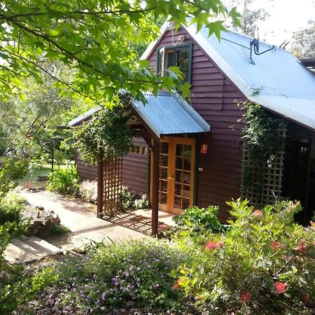 Penzion Redgum Hill Country Retreat Balingup Exteriér fotografie