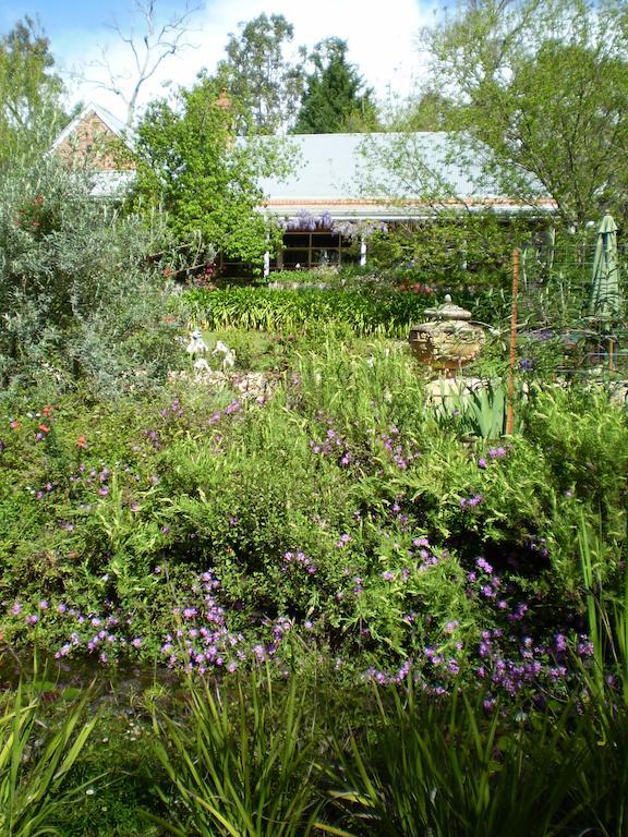 Penzion Redgum Hill Country Retreat Balingup Pokoj fotografie