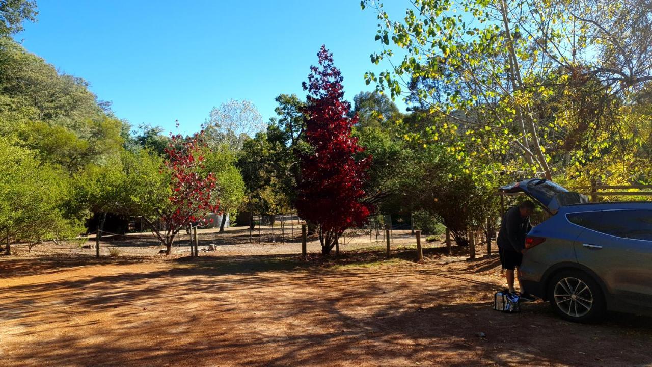 Penzion Redgum Hill Country Retreat Balingup Exteriér fotografie