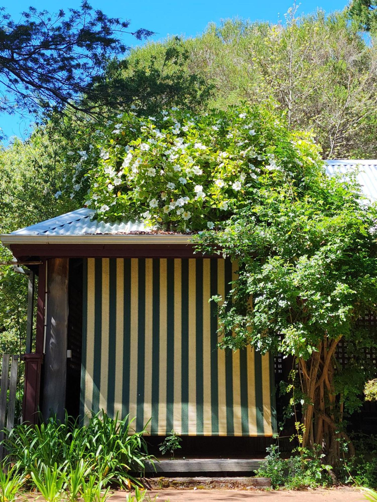 Penzion Redgum Hill Country Retreat Balingup Exteriér fotografie