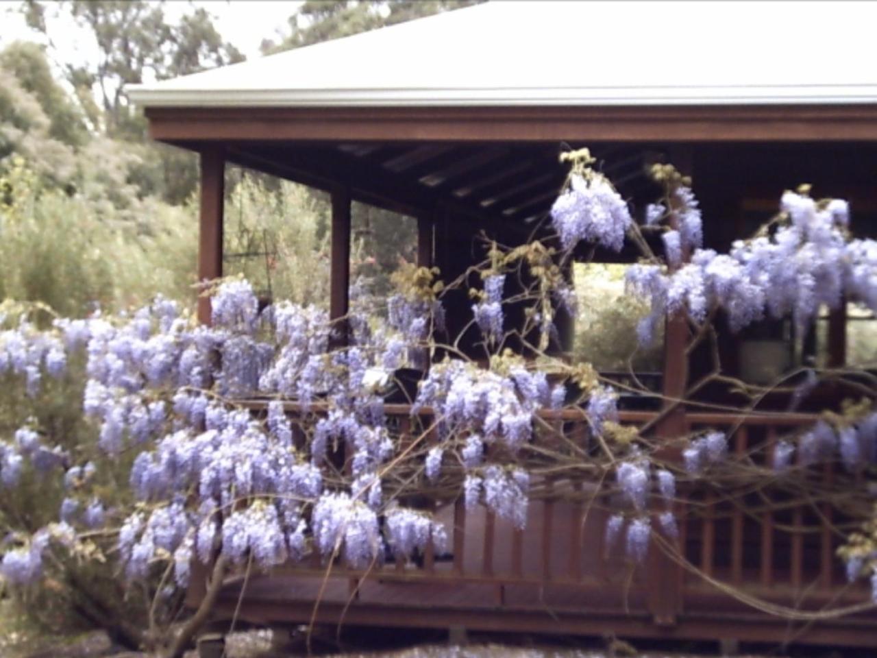 Penzion Redgum Hill Country Retreat Balingup Exteriér fotografie